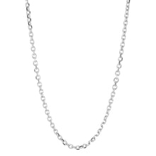 Load image into Gallery viewer, Marlyn Schiff 32&quot; Cable Chain Necklace
