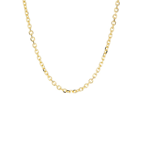 Marlyn Schiff 20" Cable Chain Necklace