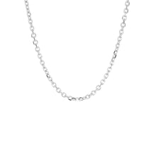 Load image into Gallery viewer, Marlyn Schiff 20&quot; Cable Chain Necklace
