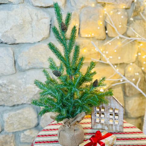 24" Noble Pine Tree in Burlap Sack for Just Jill