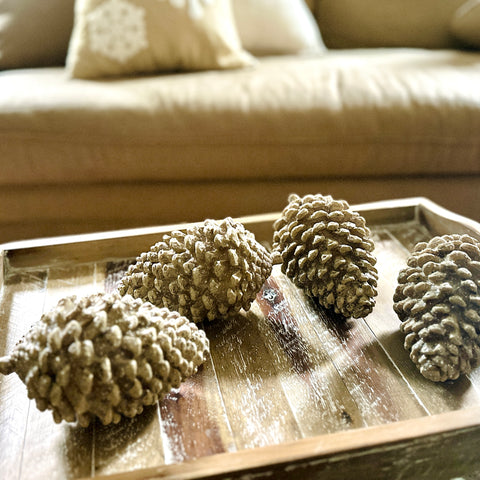 Set of 4 Pinecone Figurines for Just Jill