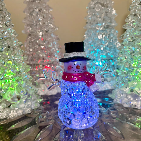 Choice of Mini Lighted Snowman