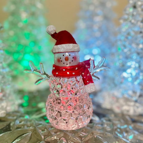 Choice of Mini Lighted Snowman