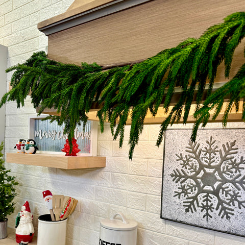 60" Natural Touch Norfolk Pine Garland for Just Jill