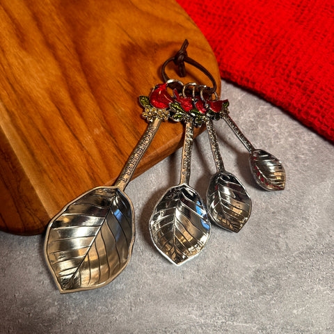 Choice of Set of 4 Measuring Spoons for Just Jill