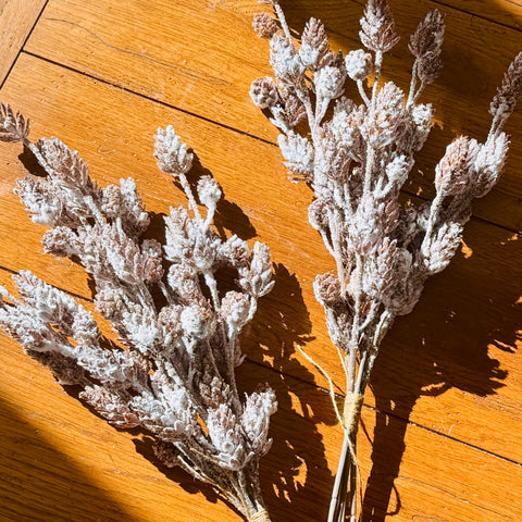 Set of 2 Frosted Hemlock Pinecone Picks for Just Jill-BOGO OFFER