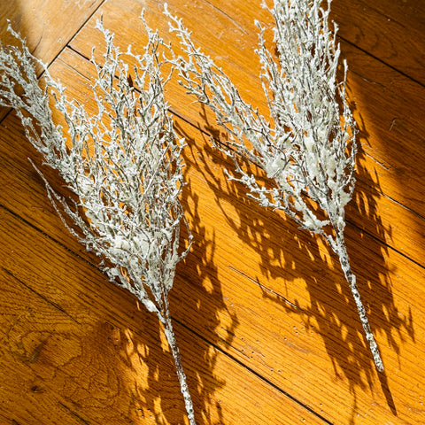 Set of 2 Snow Covered Frosted Birch Picks-BOGO offer