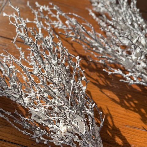 Set of 2 Snow Covered Frosted Birch Picks-BOGO offer