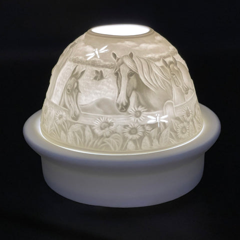 Luumii Lights Animal Motif Porcelain Dome w/ LED Base