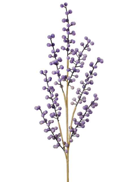 Set of 2  30" Berry Stems for Just Jill