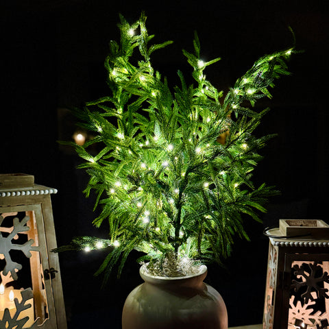 Set of 2 38" Pre Lit Natural Touch Norfolk Pine Picks for Just Jill